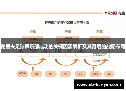 谢里夫足球俱乐部成功的关键因素解析及其背后的战略布局