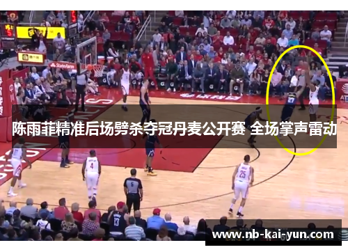 陈雨菲精准后场劈杀夺冠丹麦公开赛 全场掌声雷动