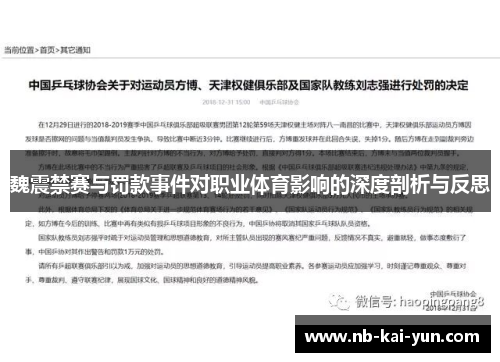魏震禁赛与罚款事件对职业体育影响的深度剖析与反思